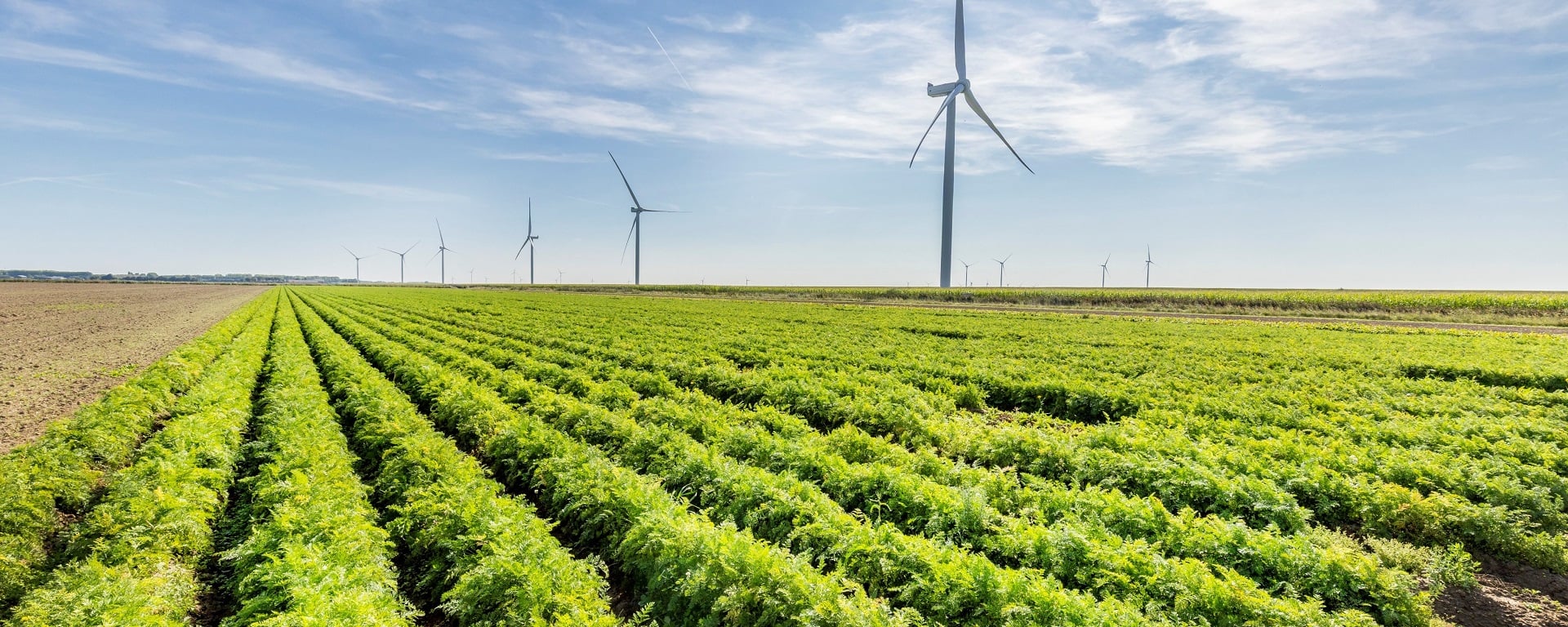 Akkerbouw en windmolens