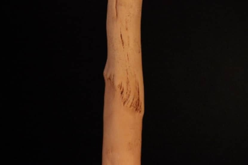 Apple stem pitting virus (appelhoutputjesvirus)