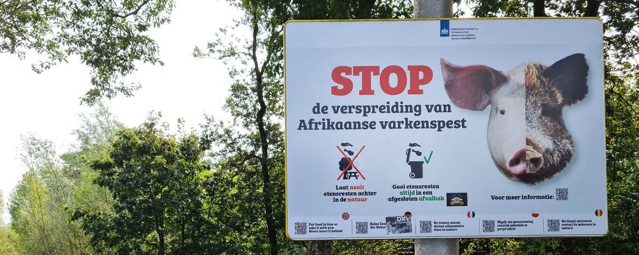 Bord stop de verspreiding van Afrikaanse varkenspest