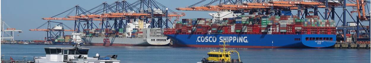 Containerschepen in de haven van Rotterdam
