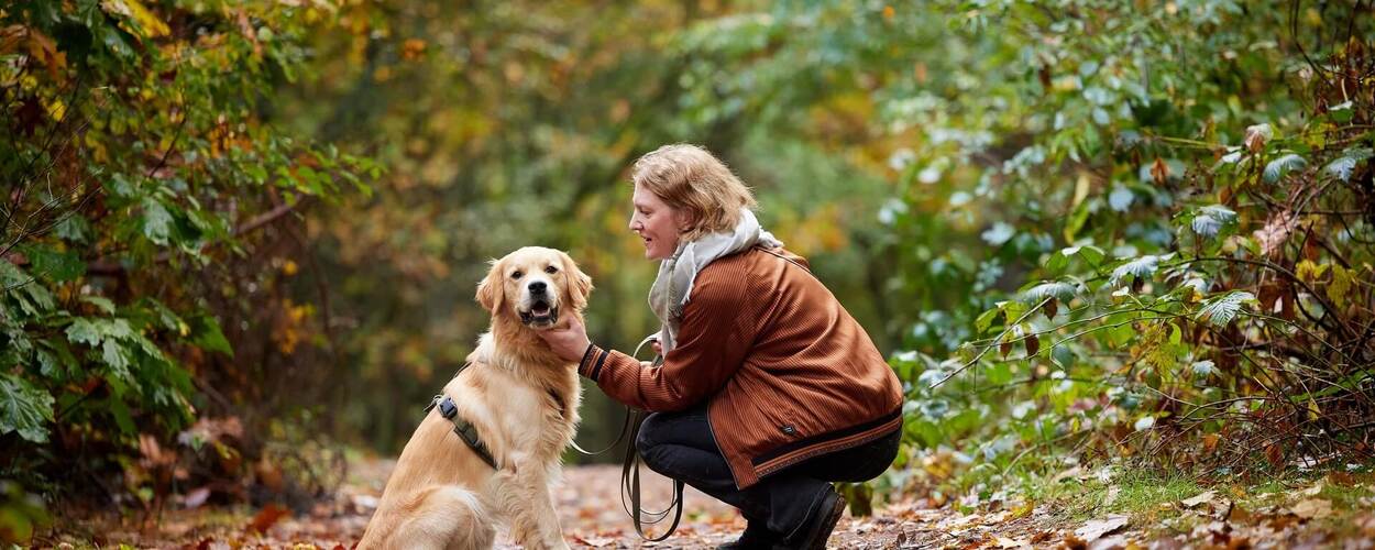 Hond zit bij vrouw in het bos