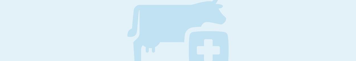 Jaarplan 2025 Diergezondheid