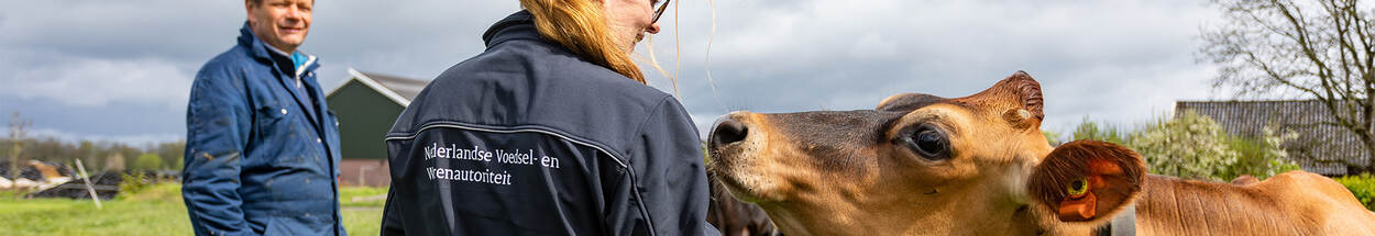 NWA Inspecteur en boer met bruine koe in weiland