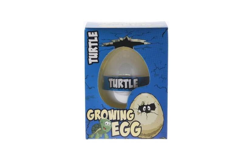 Growing Egg Turtle