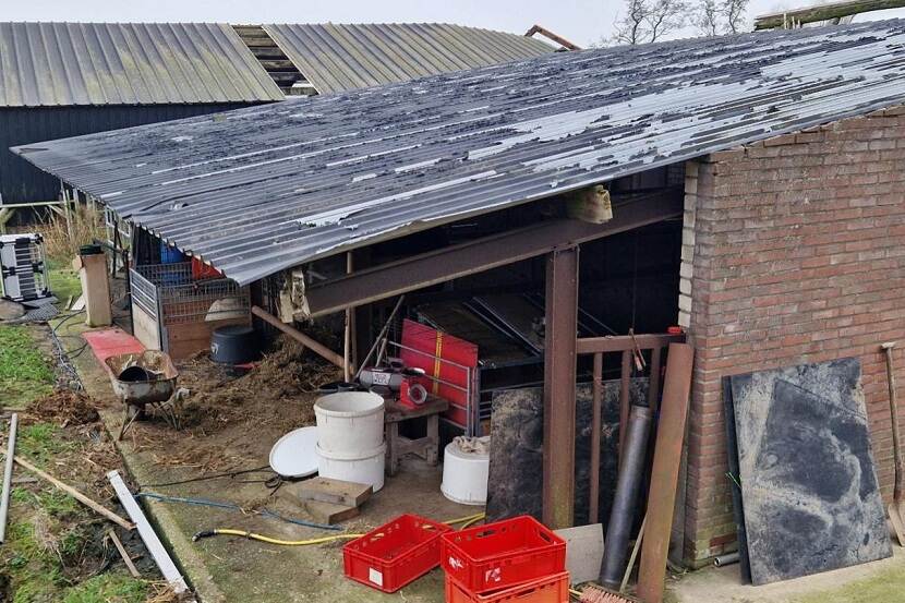 Kapschuur waar teckels in slechte omstandigheden werden gehouden