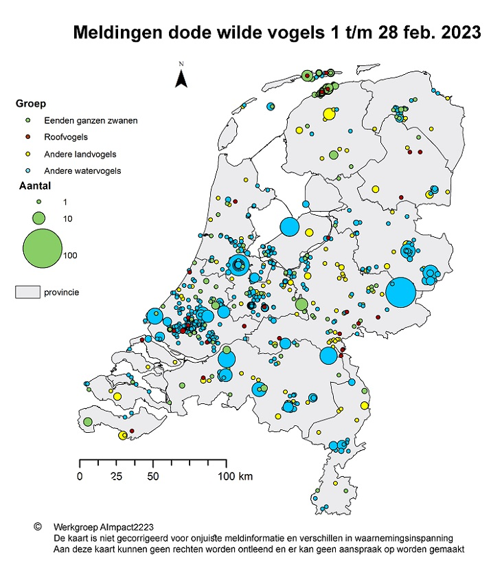 Op dit kaartje staat waar in Nederland dode wilde vogels zijn gevonden van 1 t/m 28 februari 2023. Het gaat om vogelsoorten die gevoelig zijn voor vogelgriep.