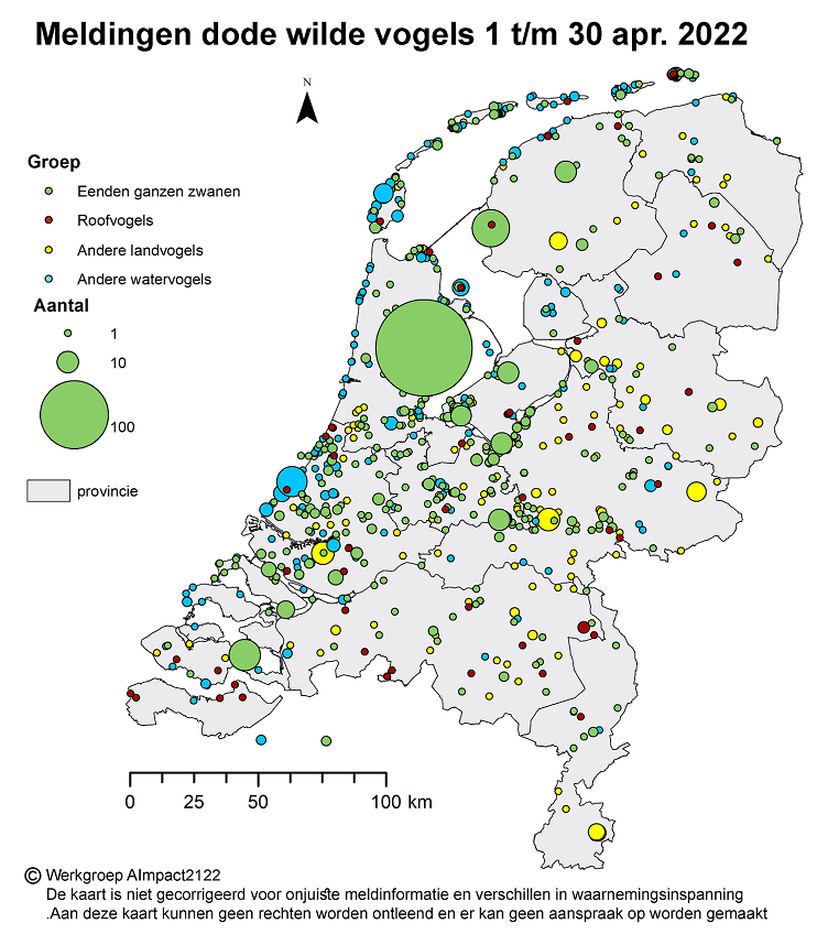 Op dit kaartje staat waar in Nederland dode wilde vogels zijn gevonden, in de periode van 1 tot en met 30 april 2022. Het gaat om vogelsoorten die gevoelig zijn voor vogelgriep.