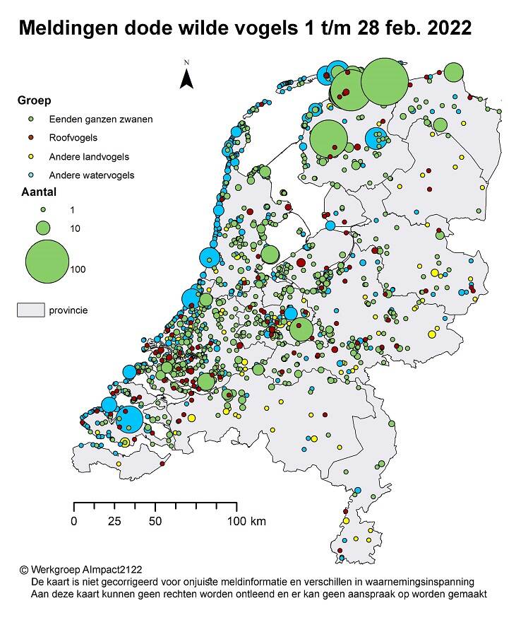 Op dit kaartje staat waar in Nederland dode wilde vogels zijn gevonden van 1 t/m 28 februari. Het gaat om vogelsoorten die gevoelig zijn voor vogelgriep.