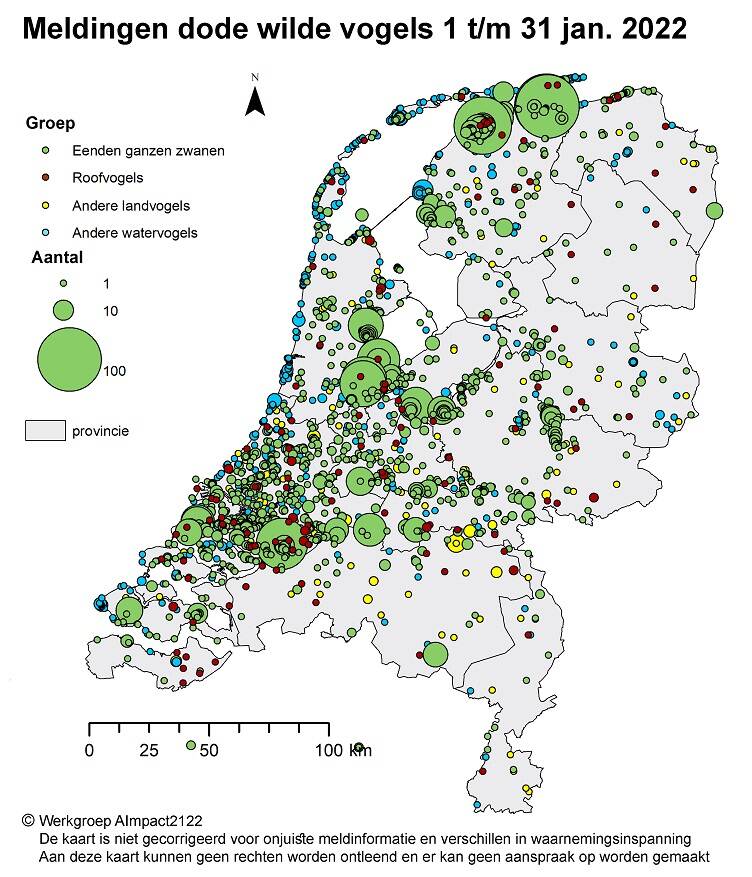 Op dit kaartje staat waar in Nederland dode wilde vogels zijn gevonden van 1 t/m 31 januari. Het gaat om vogelsoorten die gevoelig zijn voor vogelgriep.