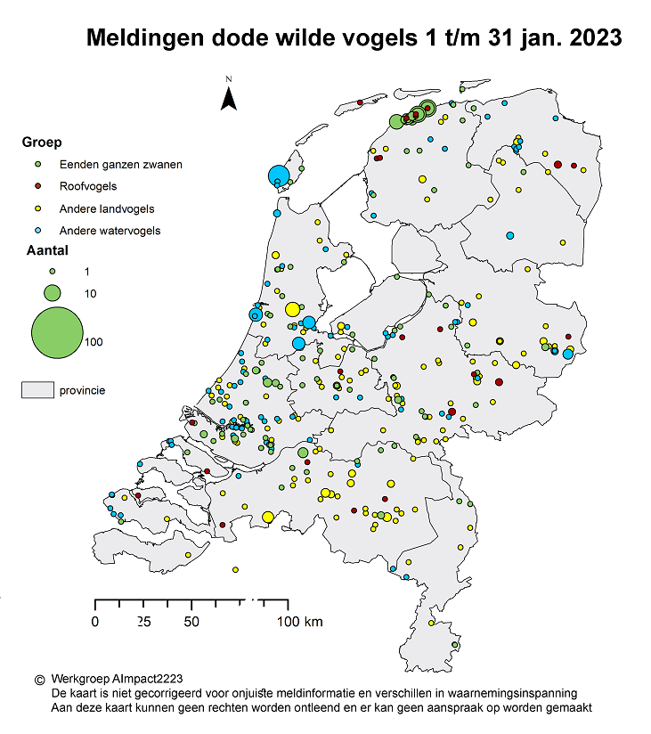 Op dit kaartje staat waar in Nederland dode wilde vogels zijn gevonden van 1 t/m 31 januari 2023. Het gaat om vogelsoorten die gevoelig zijn voor vogelgriep.