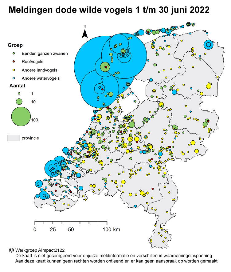 Op dit kaartje staat waar in Nederland dode wilde vogels zijn gevonden van 1 t/m 30 juni. Het gaat om vogelsoorten die gevoelig zijn voor vogelgriep.