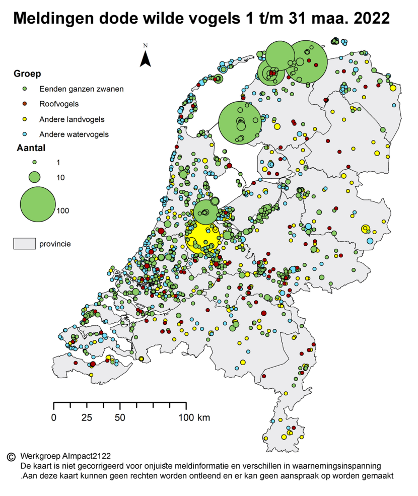 Op dit kaartje staat waar in Nederland dode wilde vogels zijn gevonden, in de periode van 1 tot en met 31 maart 2022. Het gaat om vogelsoorten die gevoelig zijn voor vogelgriep.