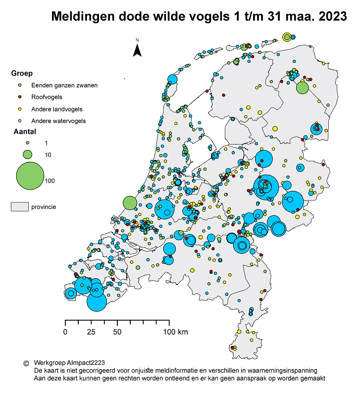 Op dit kaartje staat waar in Nederland dode wilde vogels zijn gevonden van 1 t/m 31 maart 2023 Het gaat om vogelsoorten die gevoelig zijn voor vogelgriep.