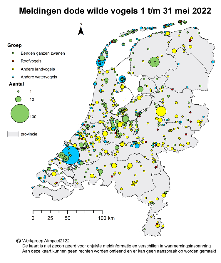 Op dit kaartje staat waar in Nederland dode wilde vogels zijn gevonden van 1 t/m 31 mei. Het gaat om vogelsoorten die gevoelig zijn voor vogelgriep.