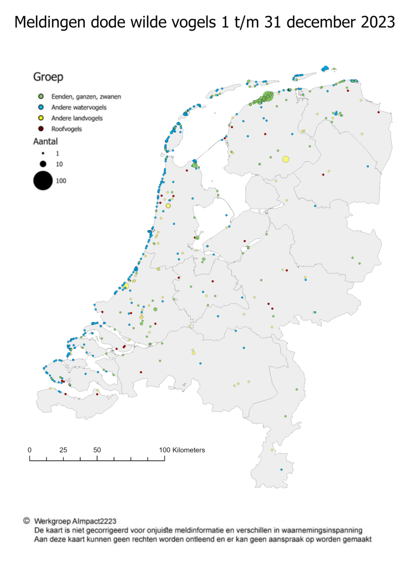 Op dit kaartje staat waar in Nederland dode wilde vogels zijn gevonden, in de periode van 1 tot en met 31 december 2023. Het gaat om vogelsoorten die gevoelig zijn voor vogelgriep.