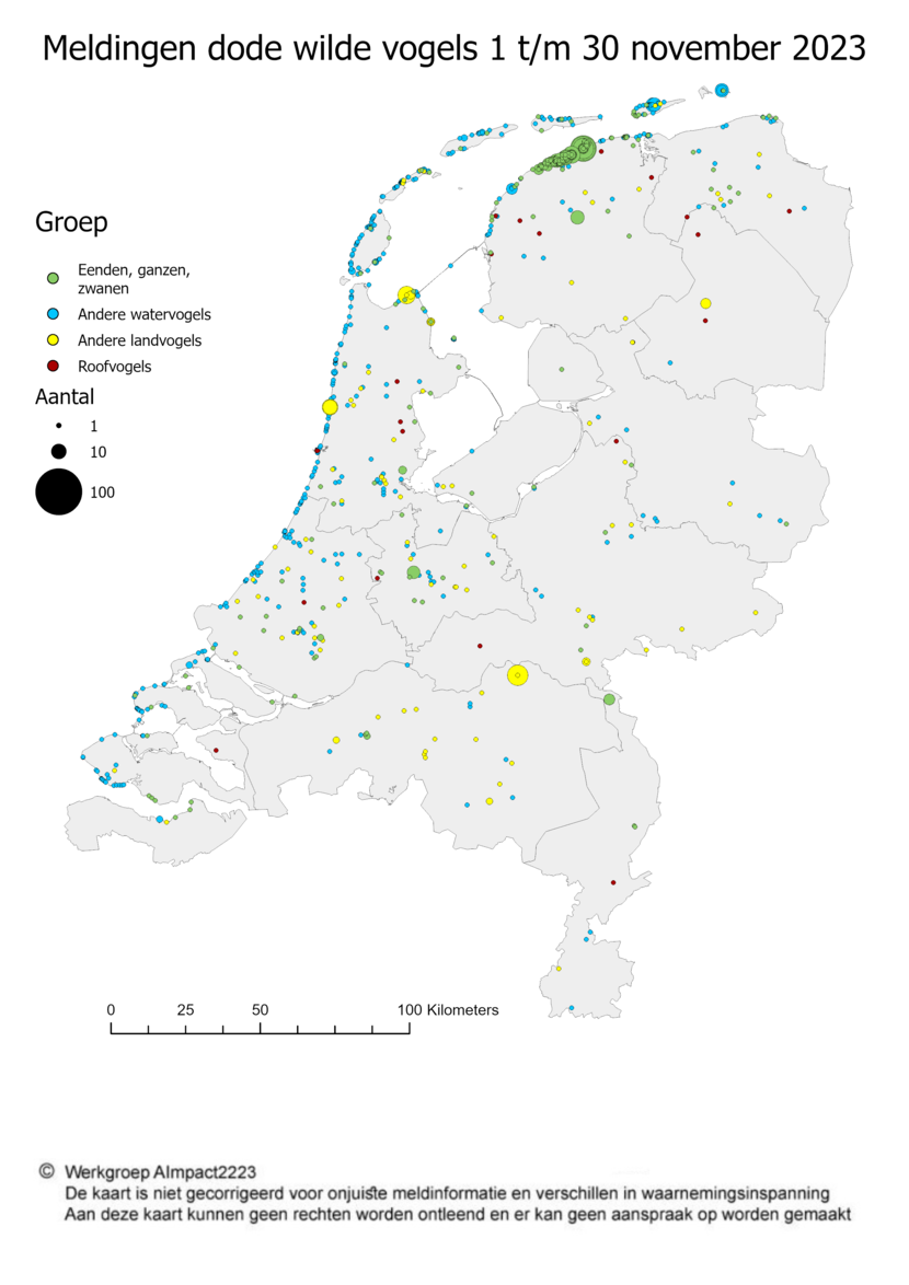 Op dit kaartje staat waar in Nederland dode wilde vogels zijn gevonden, in de periode van 1 tot en met 30 november 2023. Het gaat om vogelsoorten die gevoelig zijn voor vogelgriep.