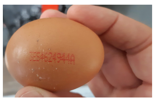 close-up afbeelding van een hand dat een bruin ei vasthoudt met de stempelcode 3ES4624944A