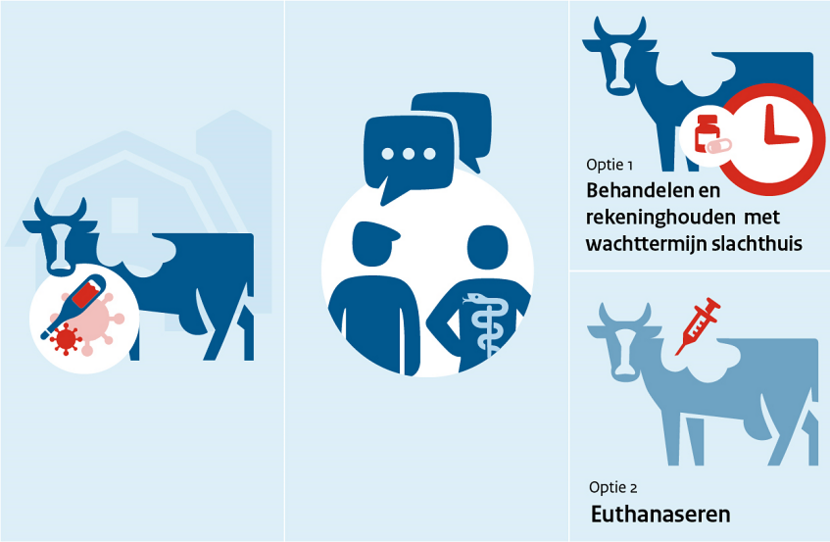 Infographic medicijnresten in vlees