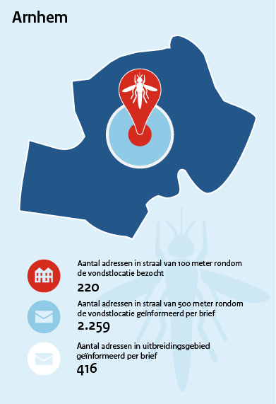 Infographic muggenvondsten Arnhem