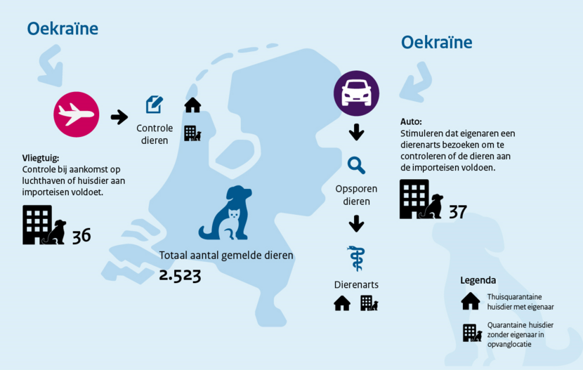 Infographic kat hond Oekräine
