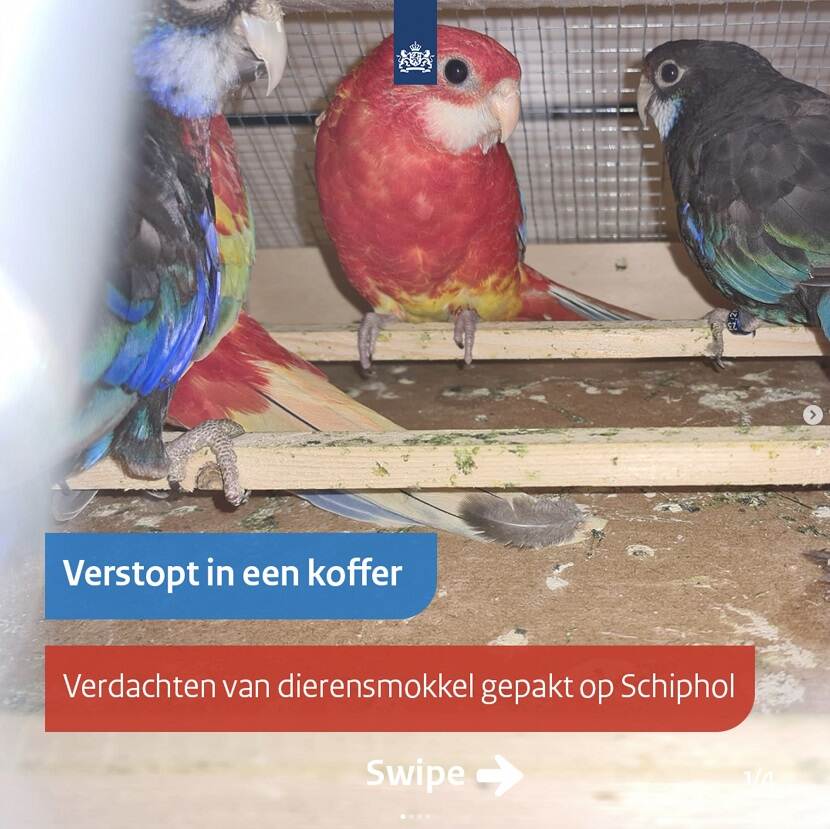 Natuur en Mileu Slide 1