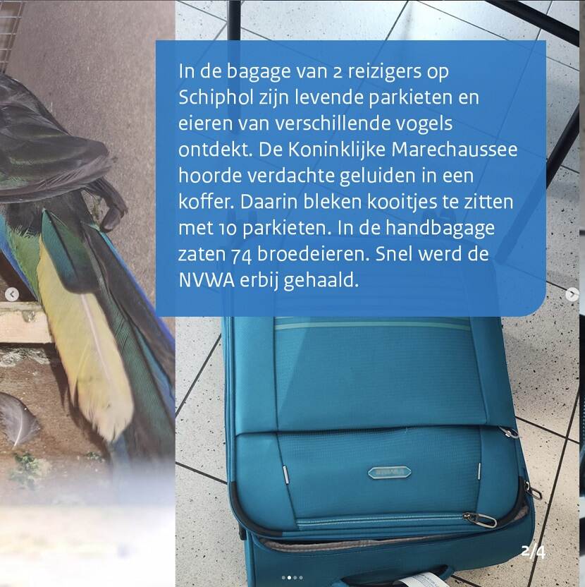 Natuur en Mileu Slide 2