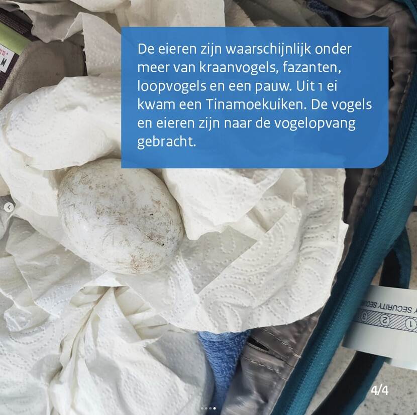 Natuur en Mileu Slide 4