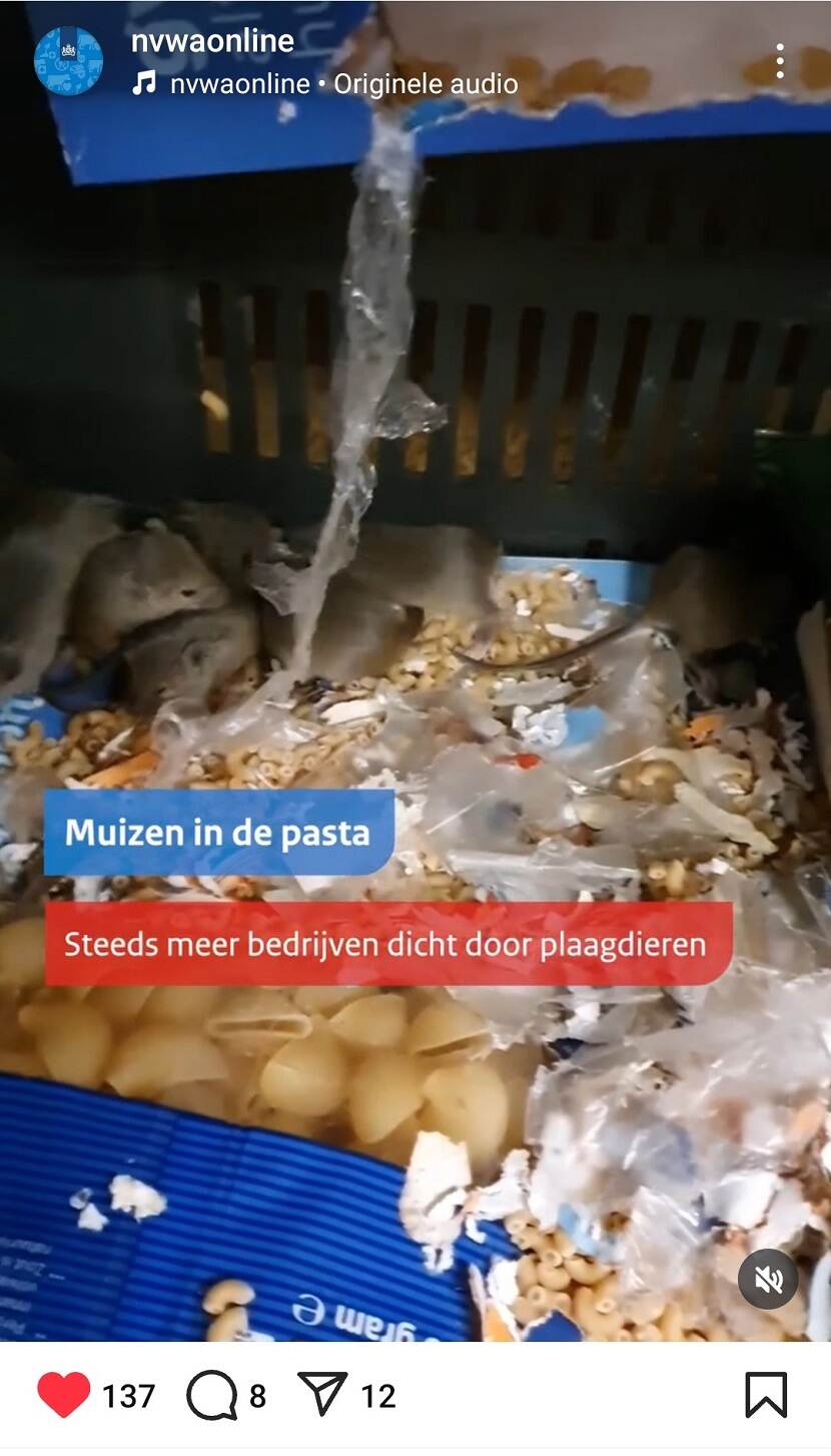 Instagrampost Muizen in de pasta