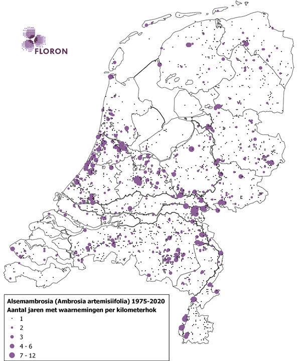 Hotspots van alsemambrosia 1975 - 2020
