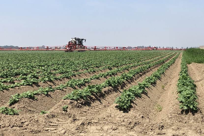 Veldspuit met kantdop