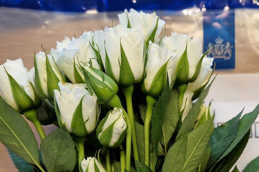 Witte rozen met op achtergrond logo van rijksoverheid