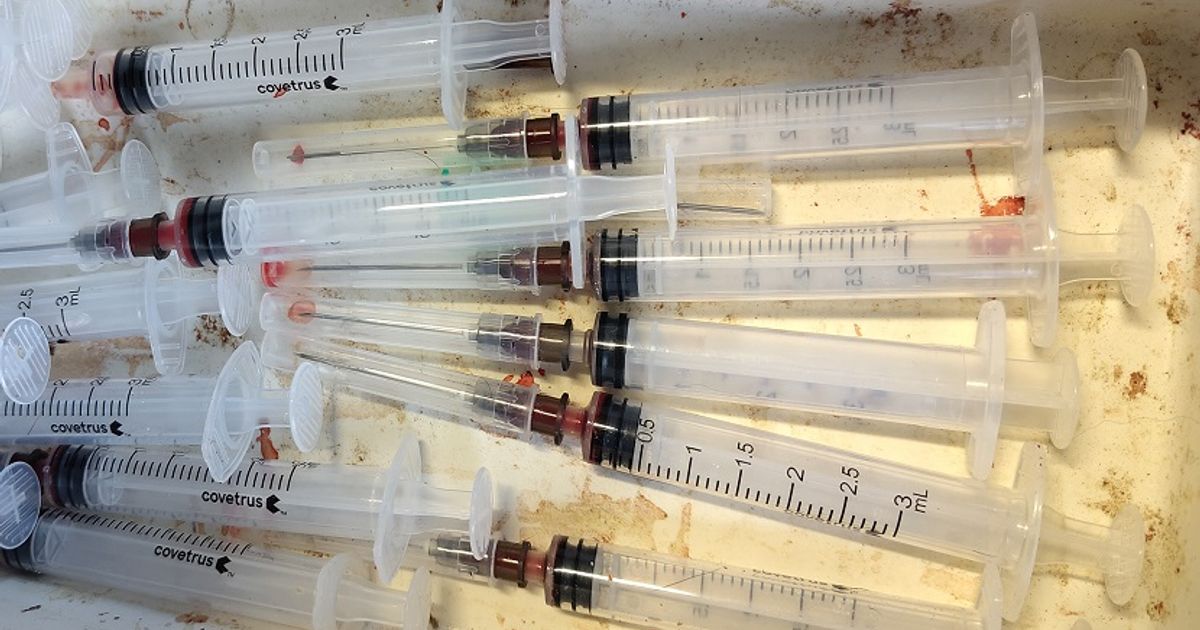 NVWA-IOD houdt dierenarts en gebitsverzorgers aan